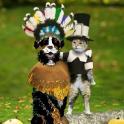 Thanksgiving Cat and Dog BMD